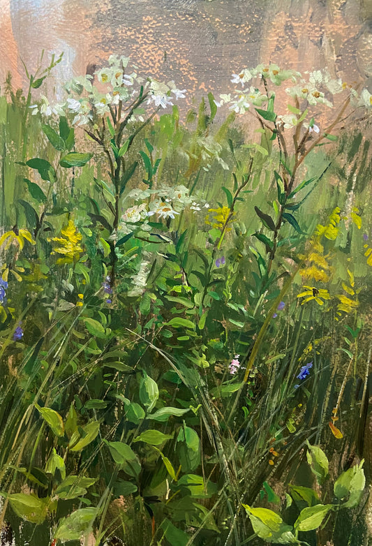 Field With White Flowers