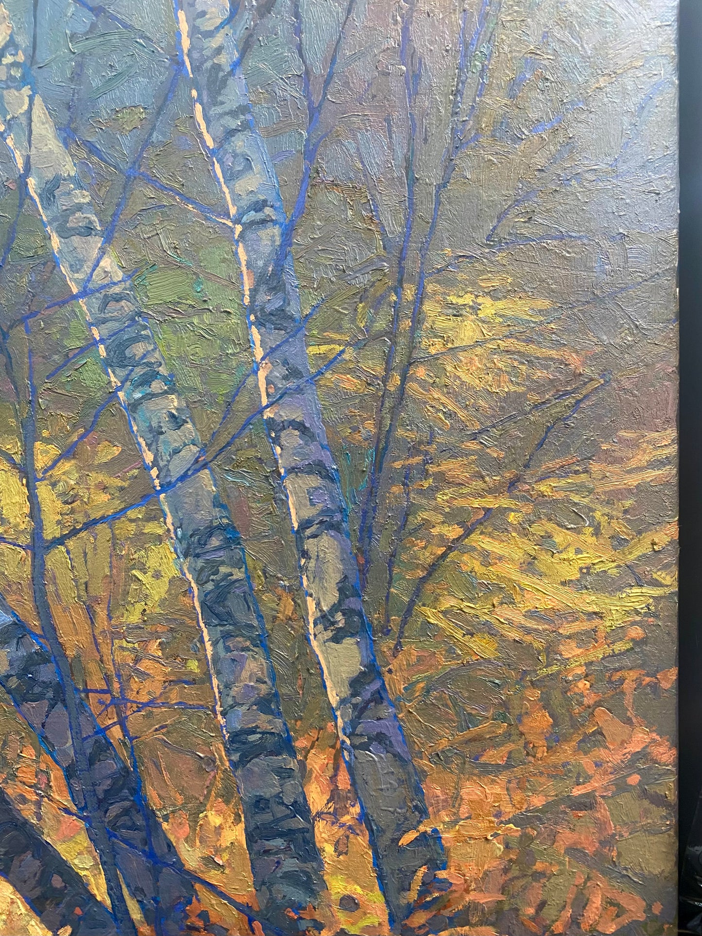 Birches Enveloped II