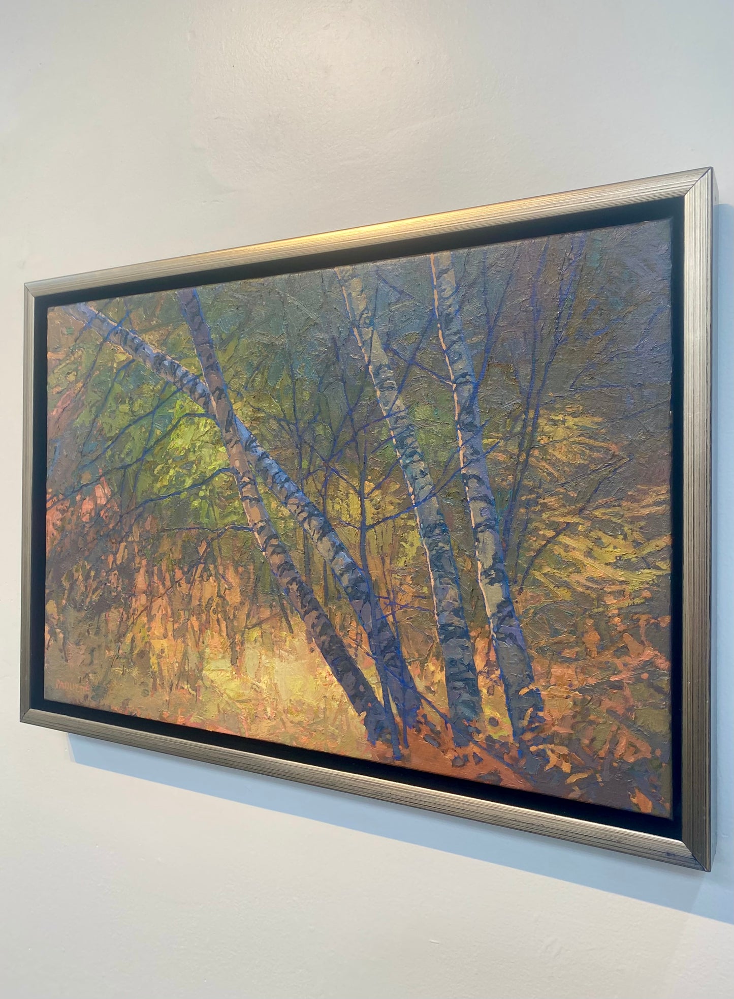 Birches Enveloped II