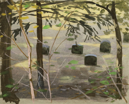 Graveyard Study