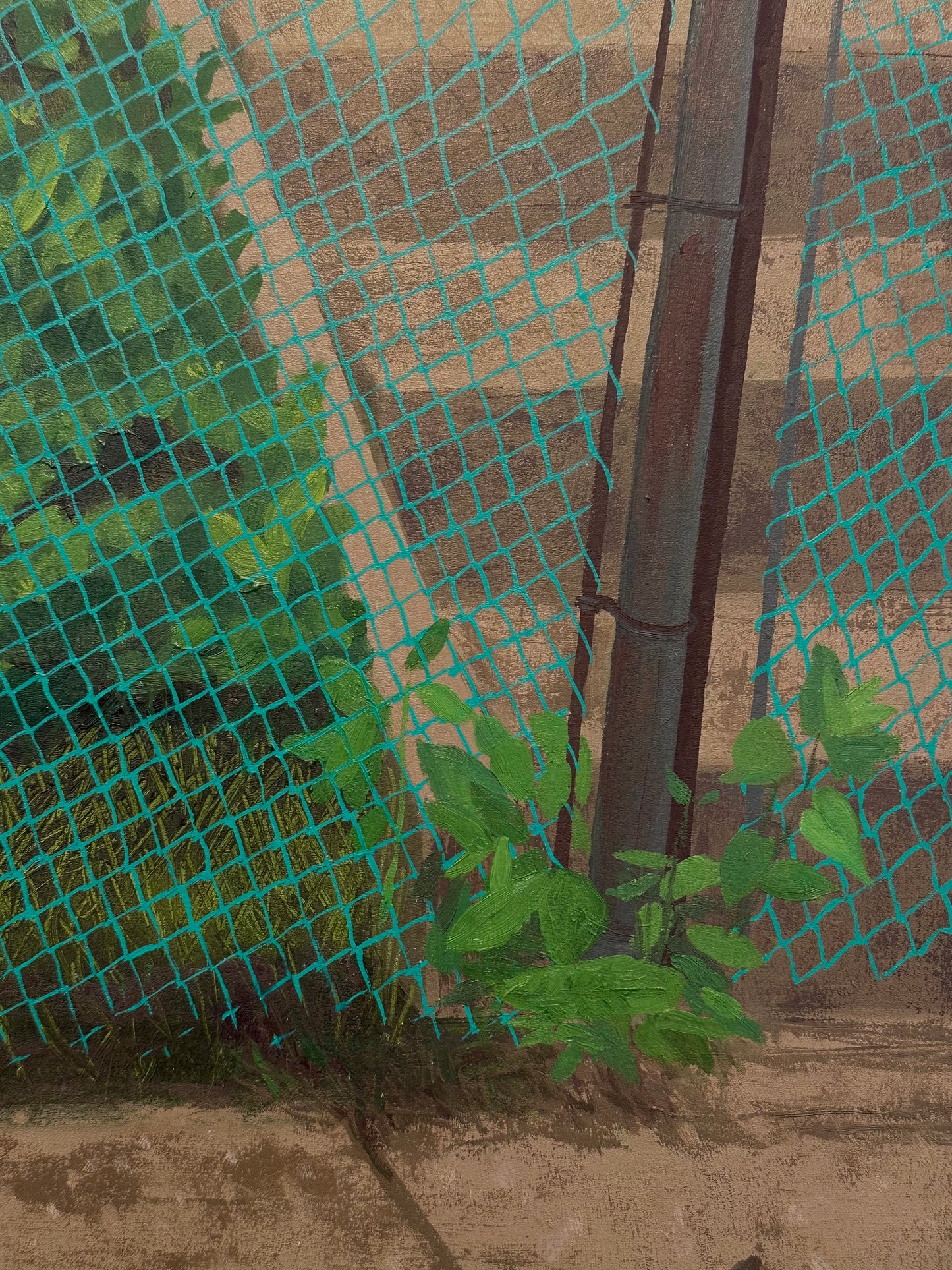 Green Fence