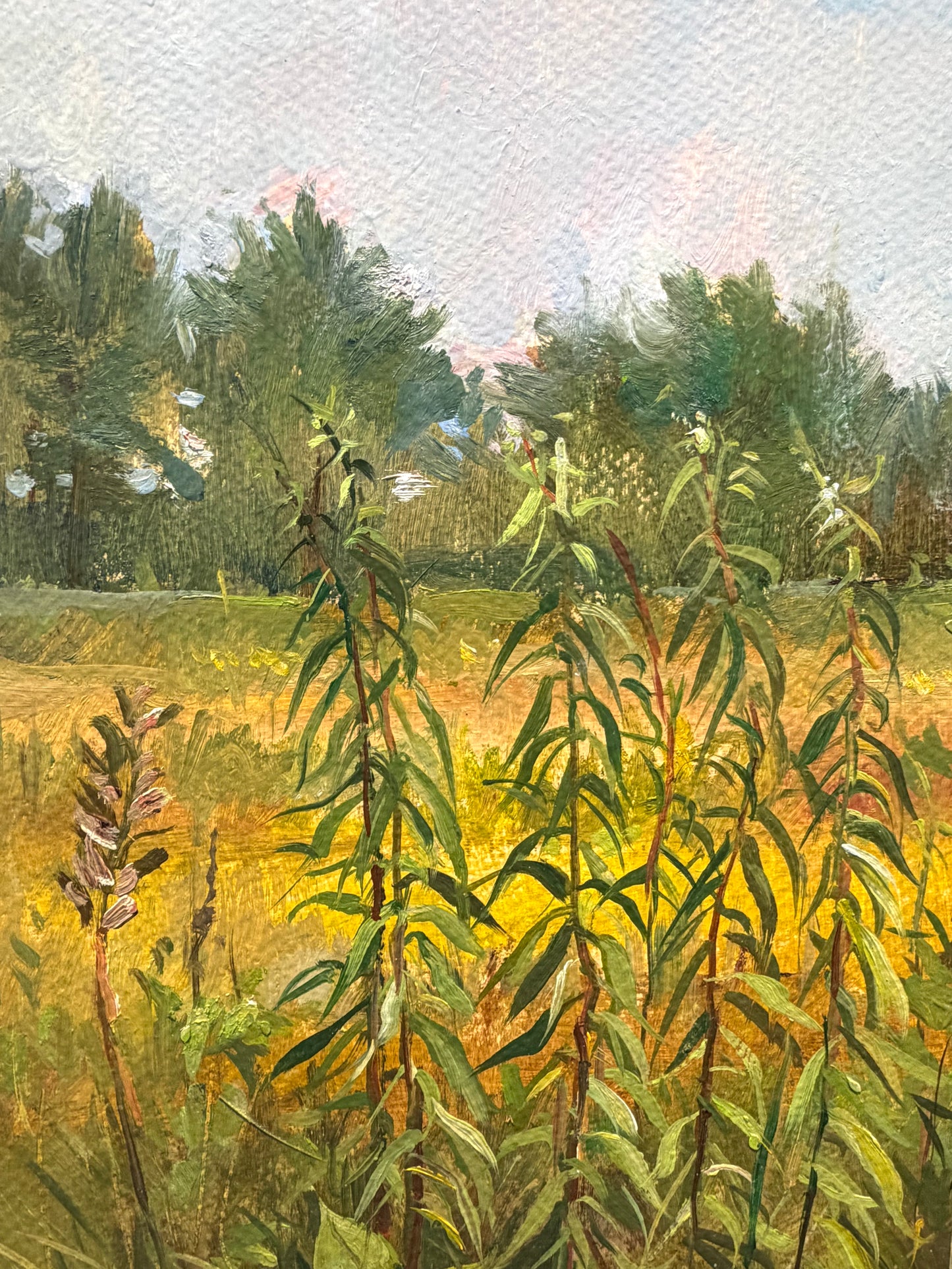 Field Study