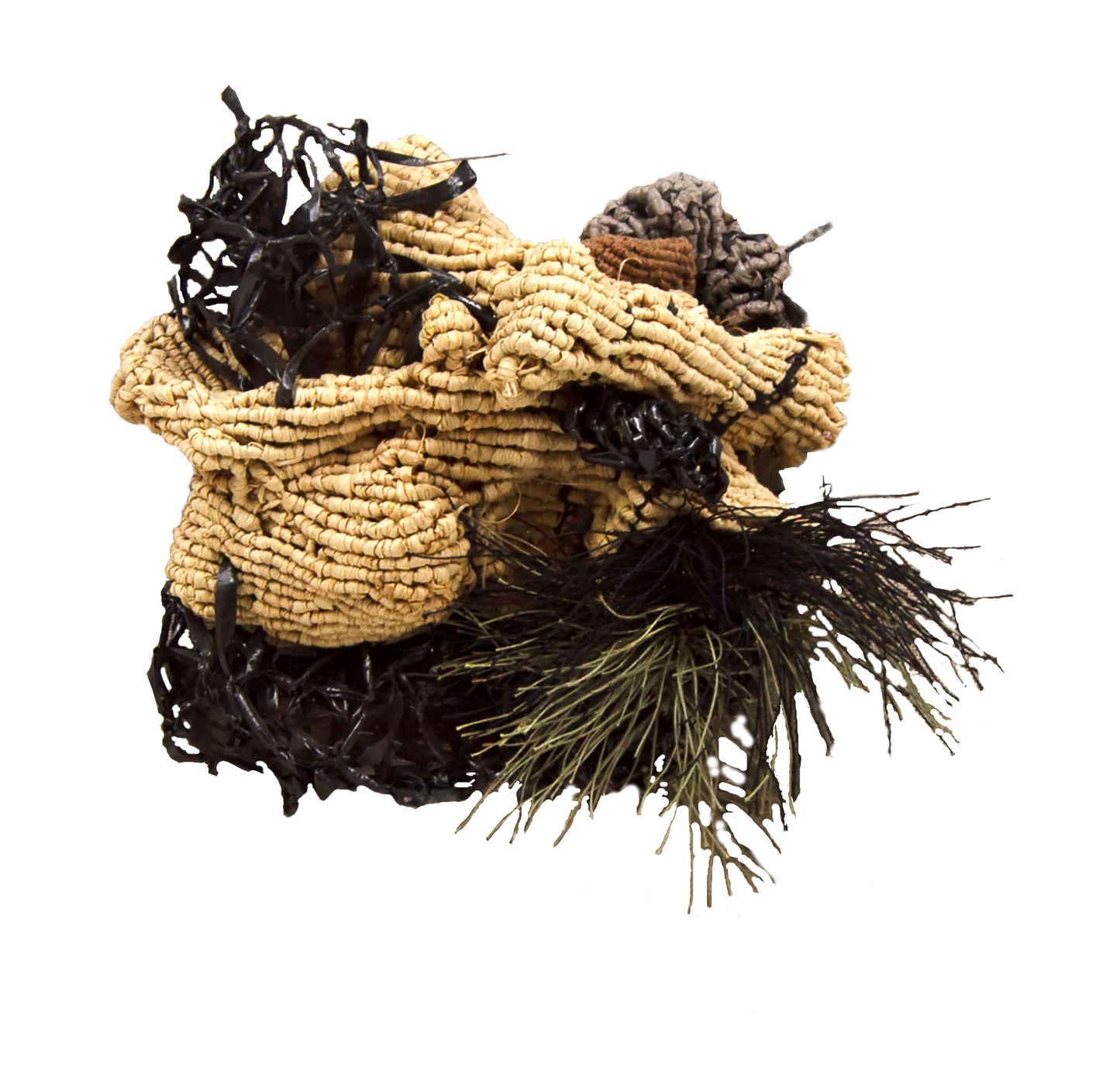 Black Moss