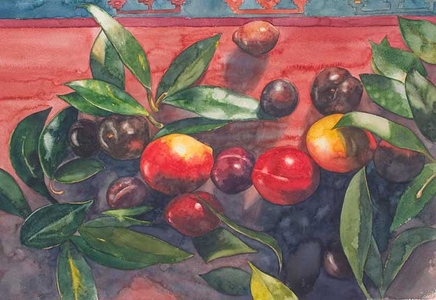 Fruit And Waxplant Leaves