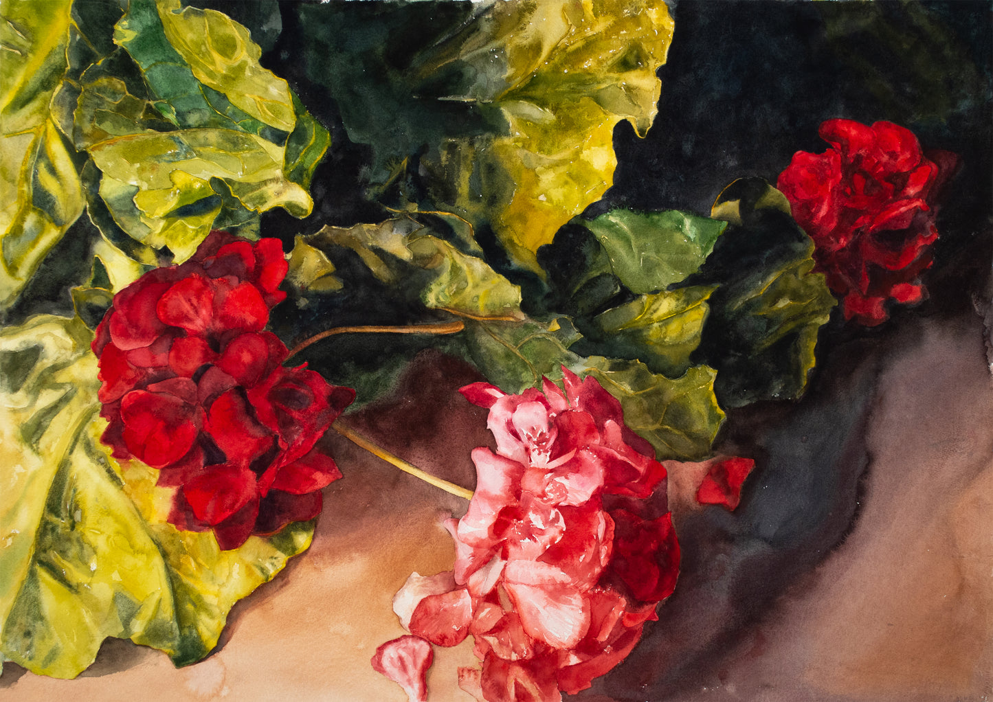 Geraniums And Leafy Greens