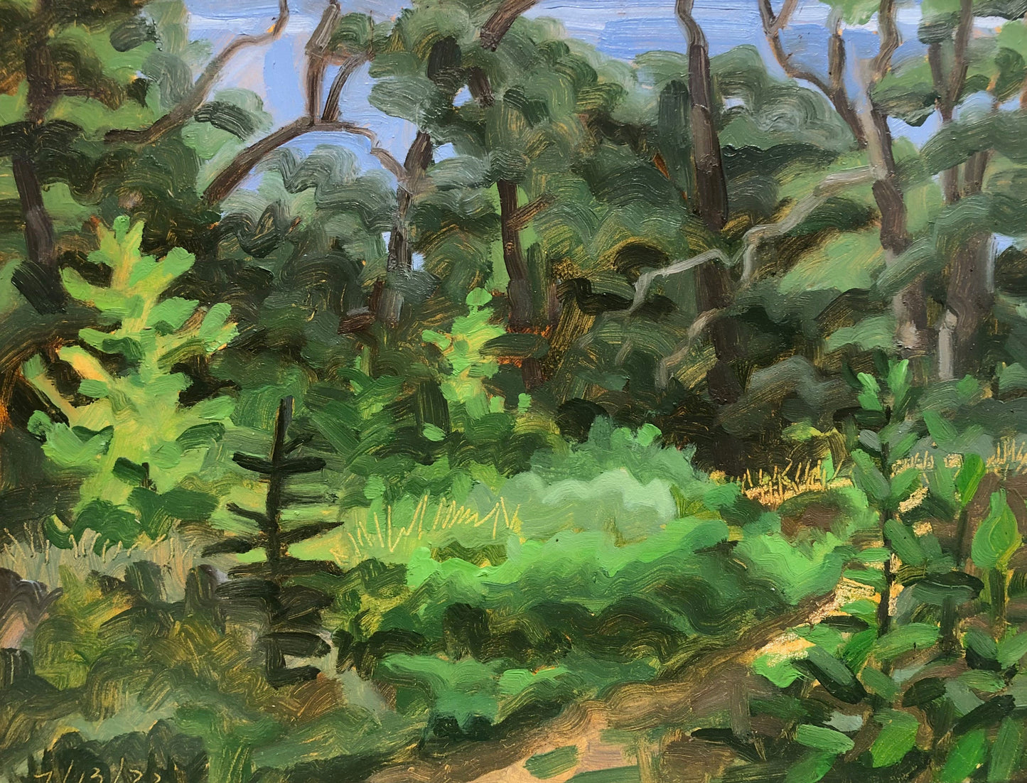 Path Through A Meadow