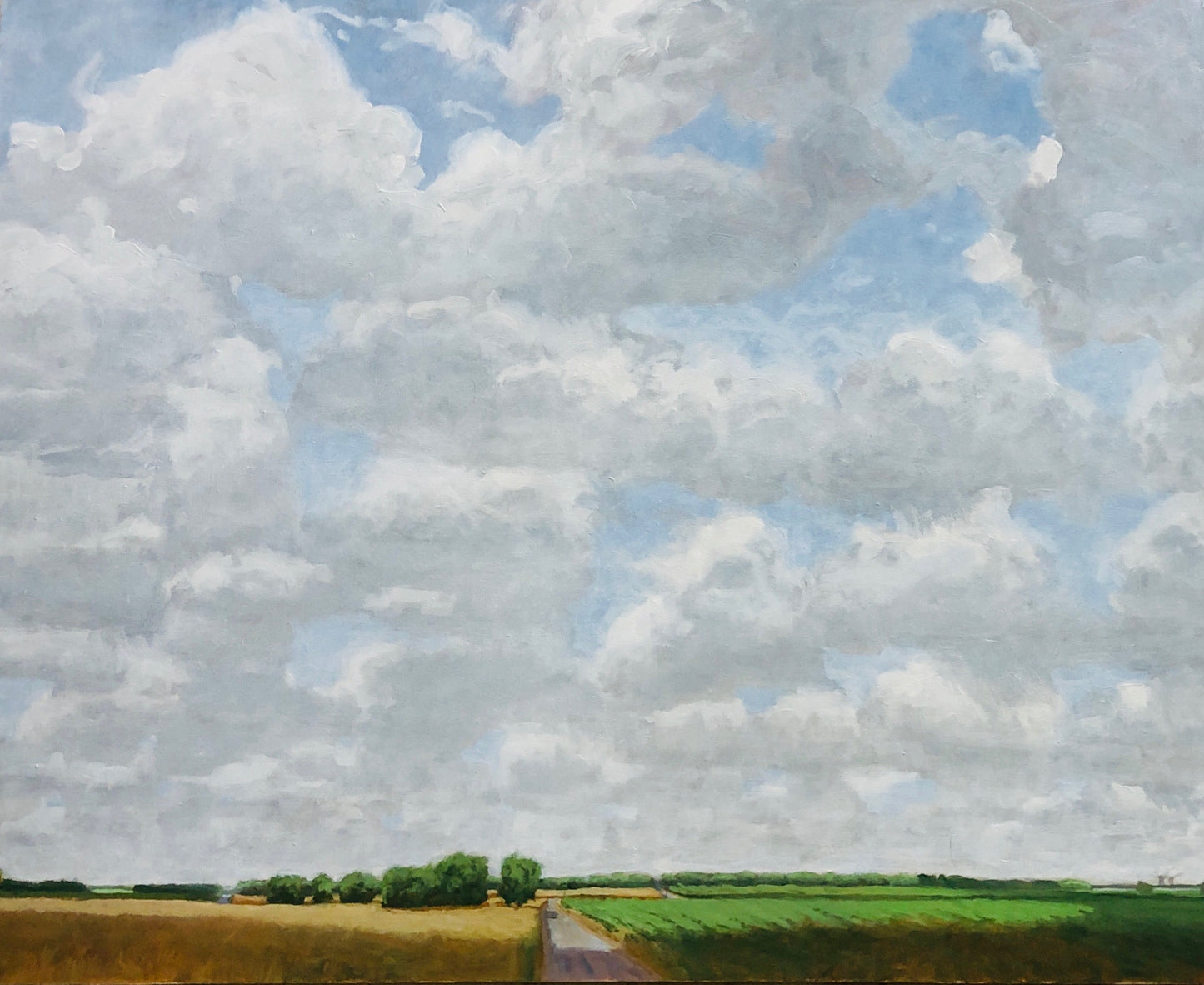 Saline County, Summer Sky