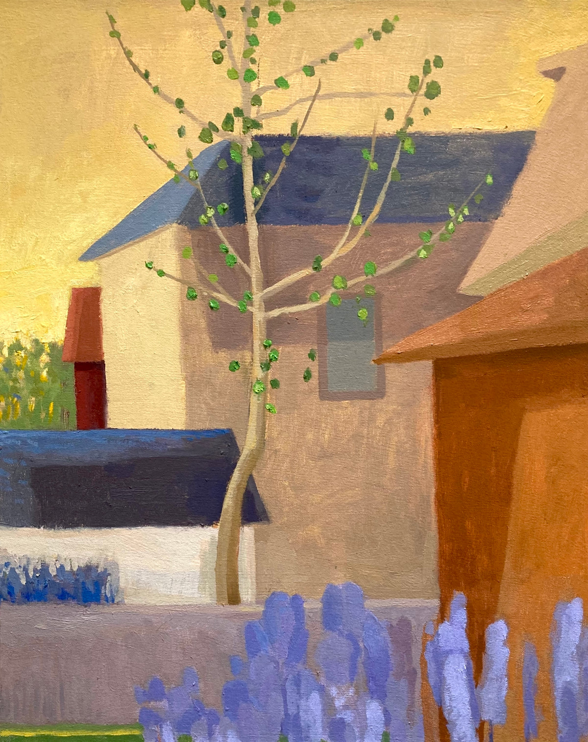 Lupine Study