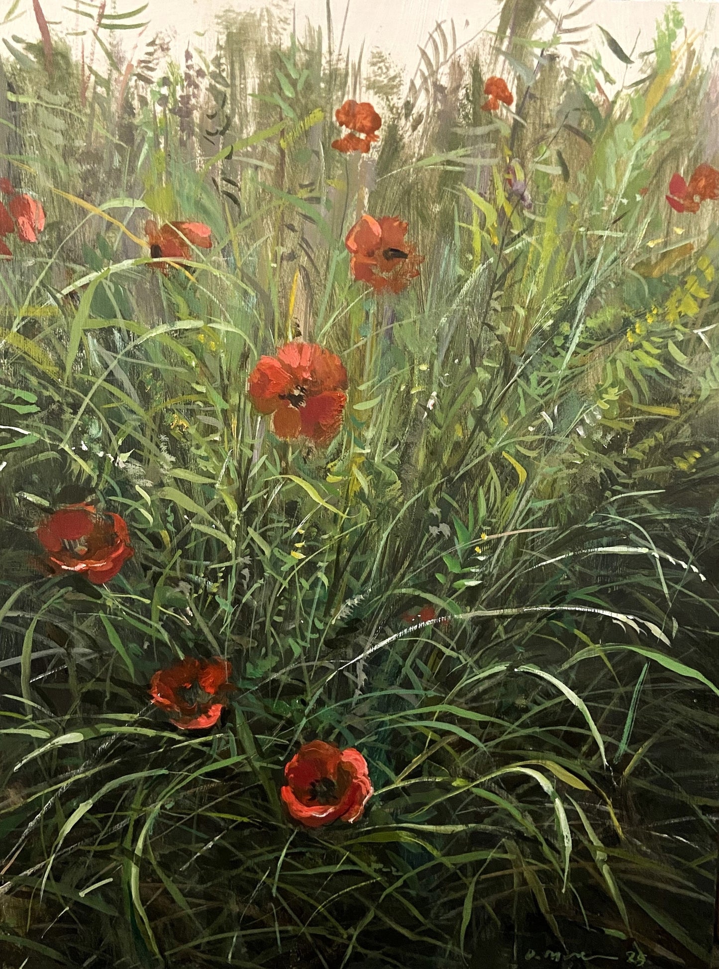 Poppies III