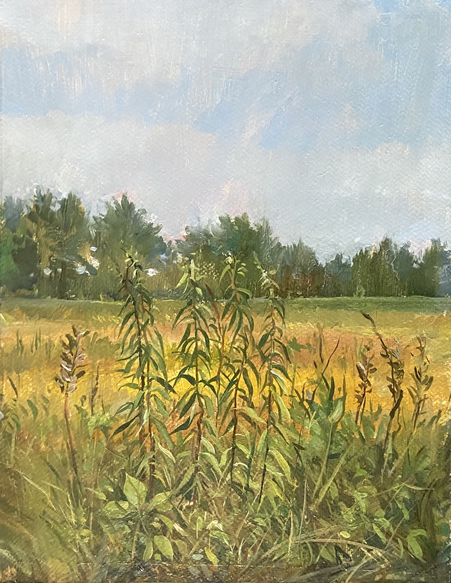 Field Study
