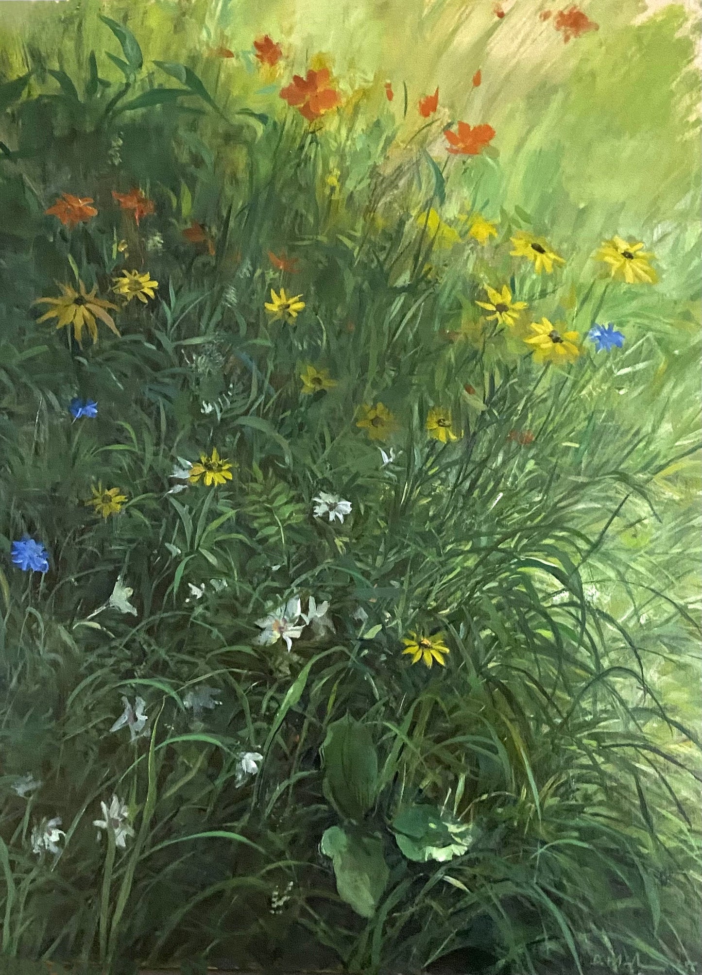 Wildflowers