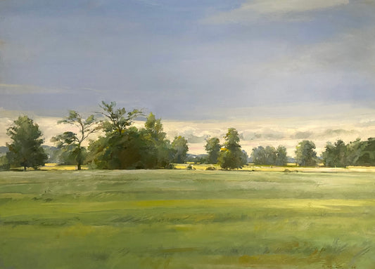 Field Normandy