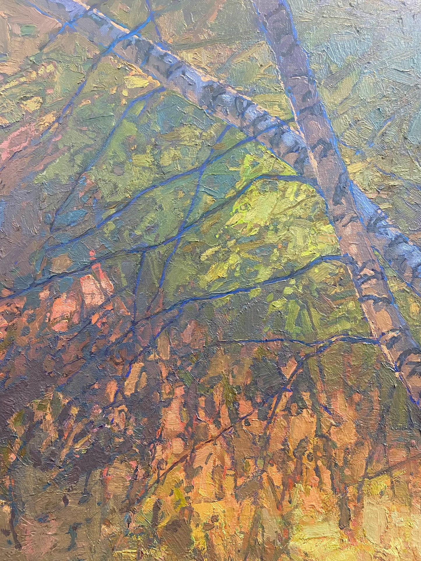 Birches Enveloped II