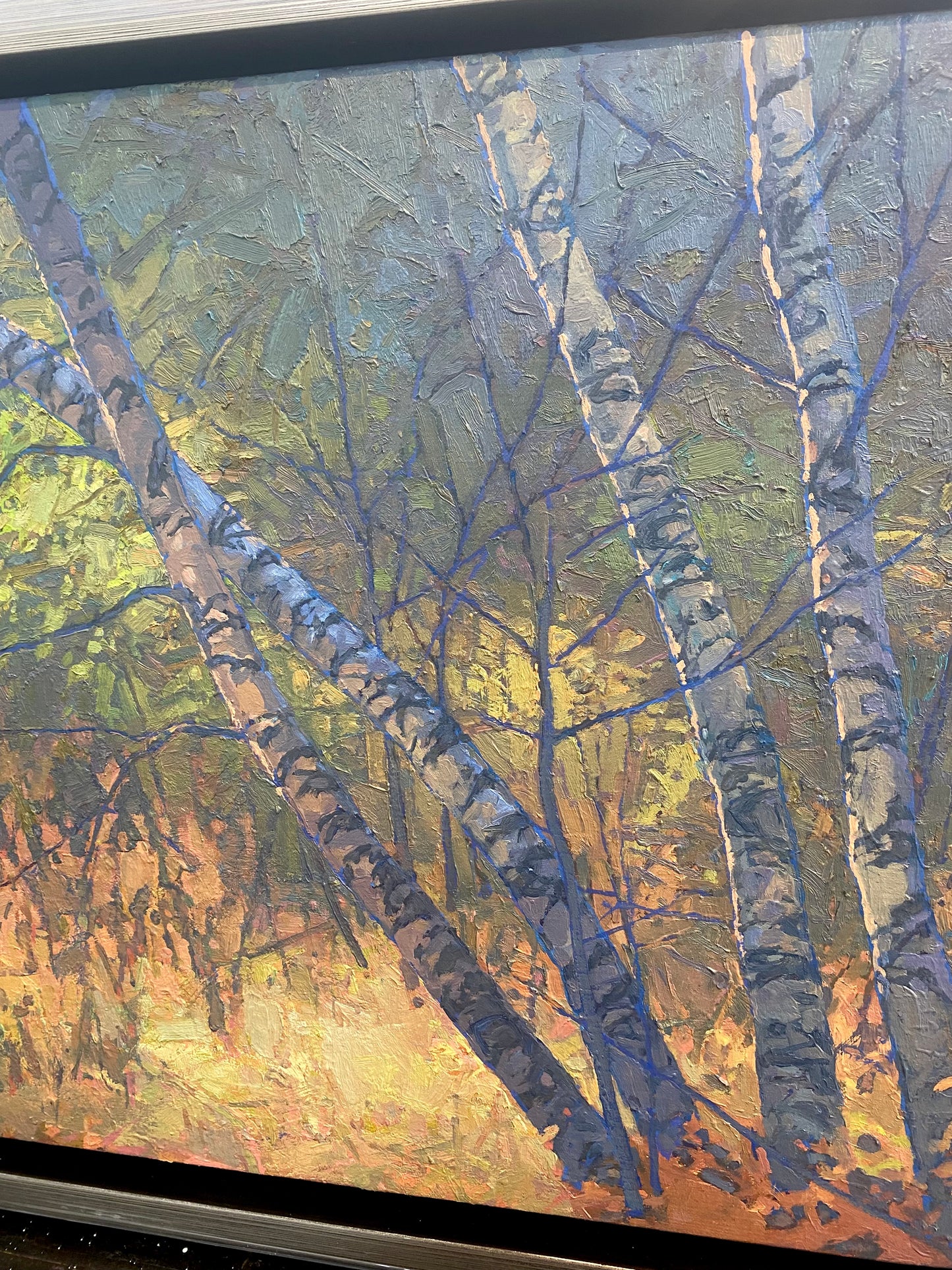 Birches Enveloped II