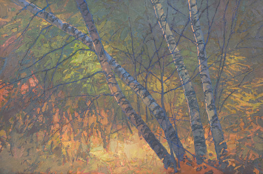 Birches Enveloped II