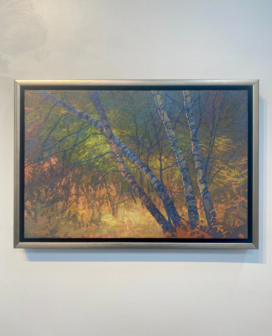 Birches Enveloped II