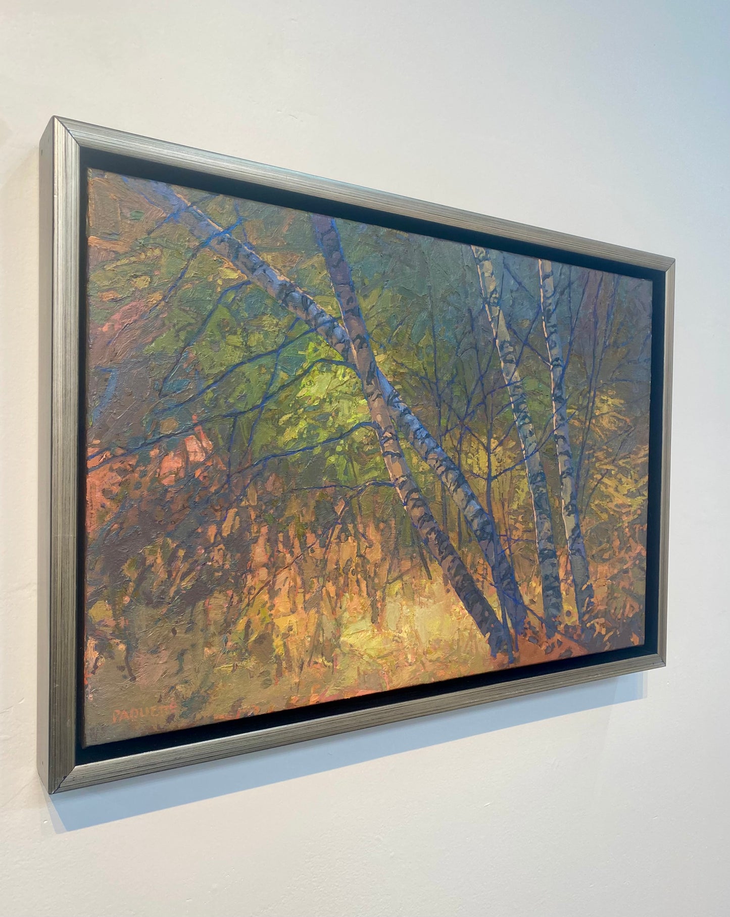 Birches Enveloped II