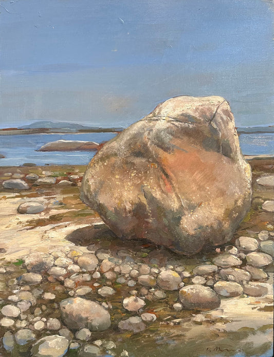 Boulder on the Shore