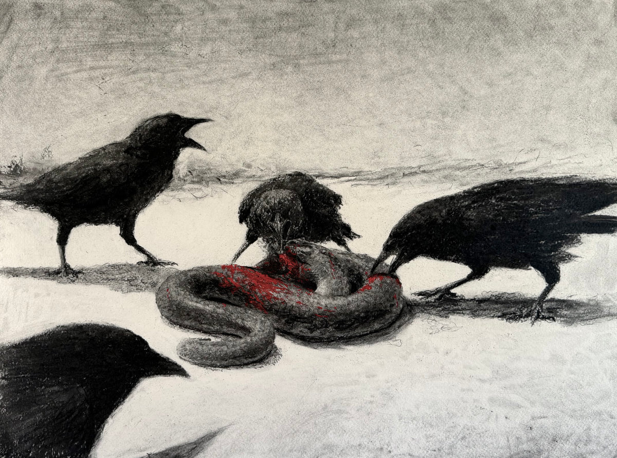 Crows Eating Snake