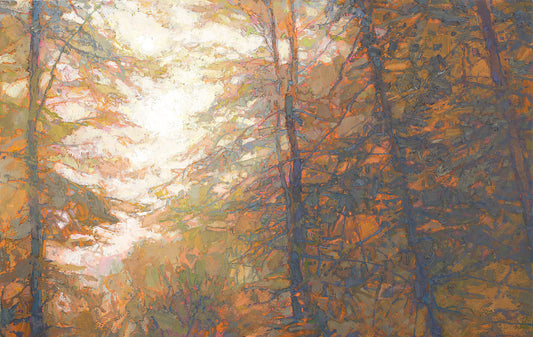 Forest In Misty Light
