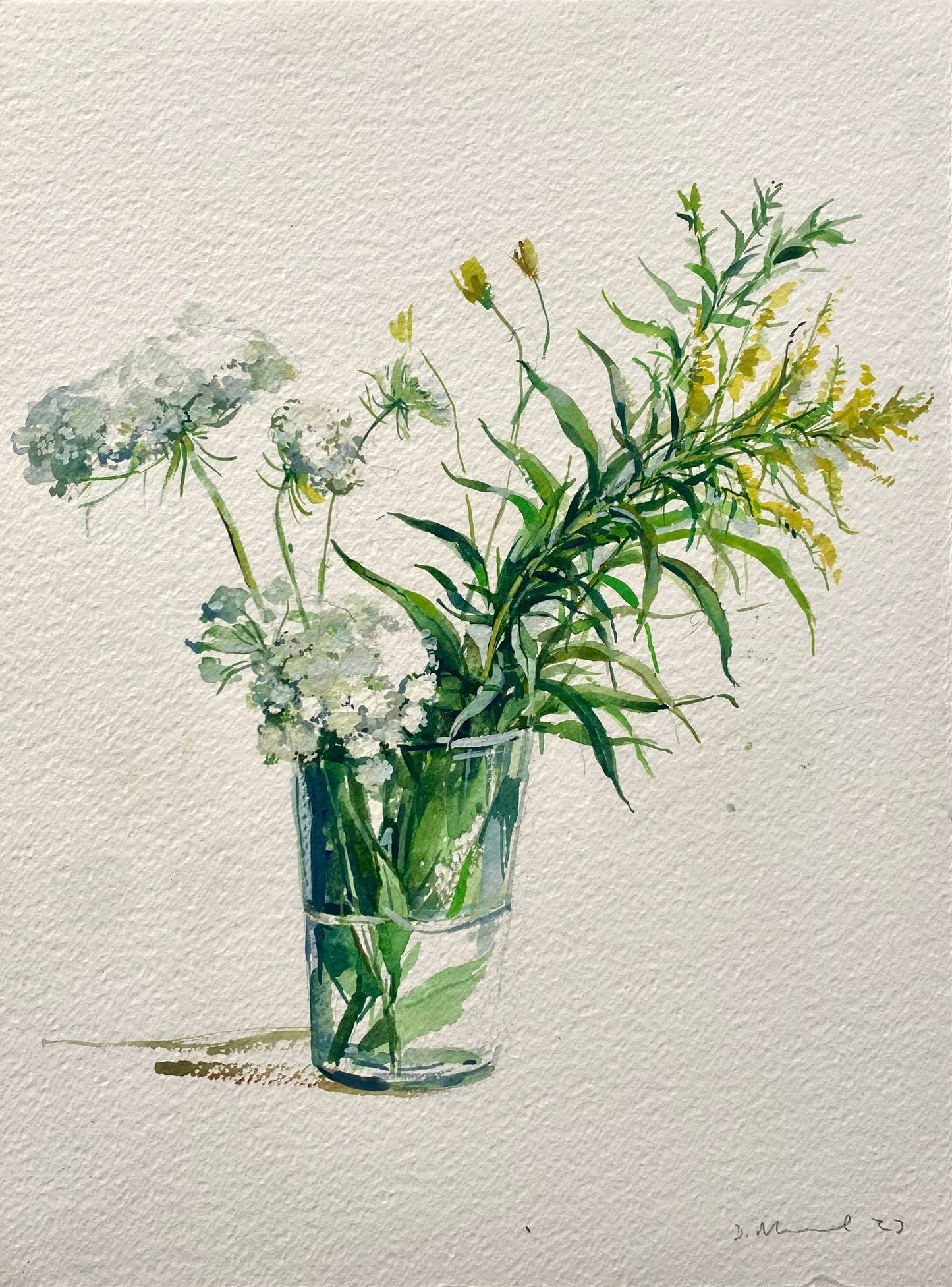 From the Field