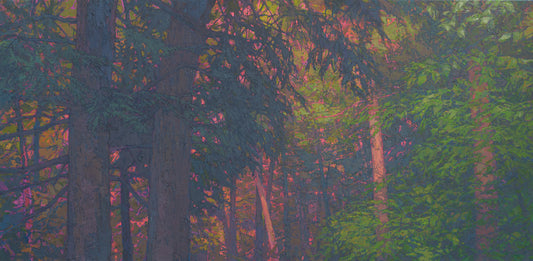 GH Old Growth