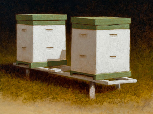 Green and White Bee Boxes