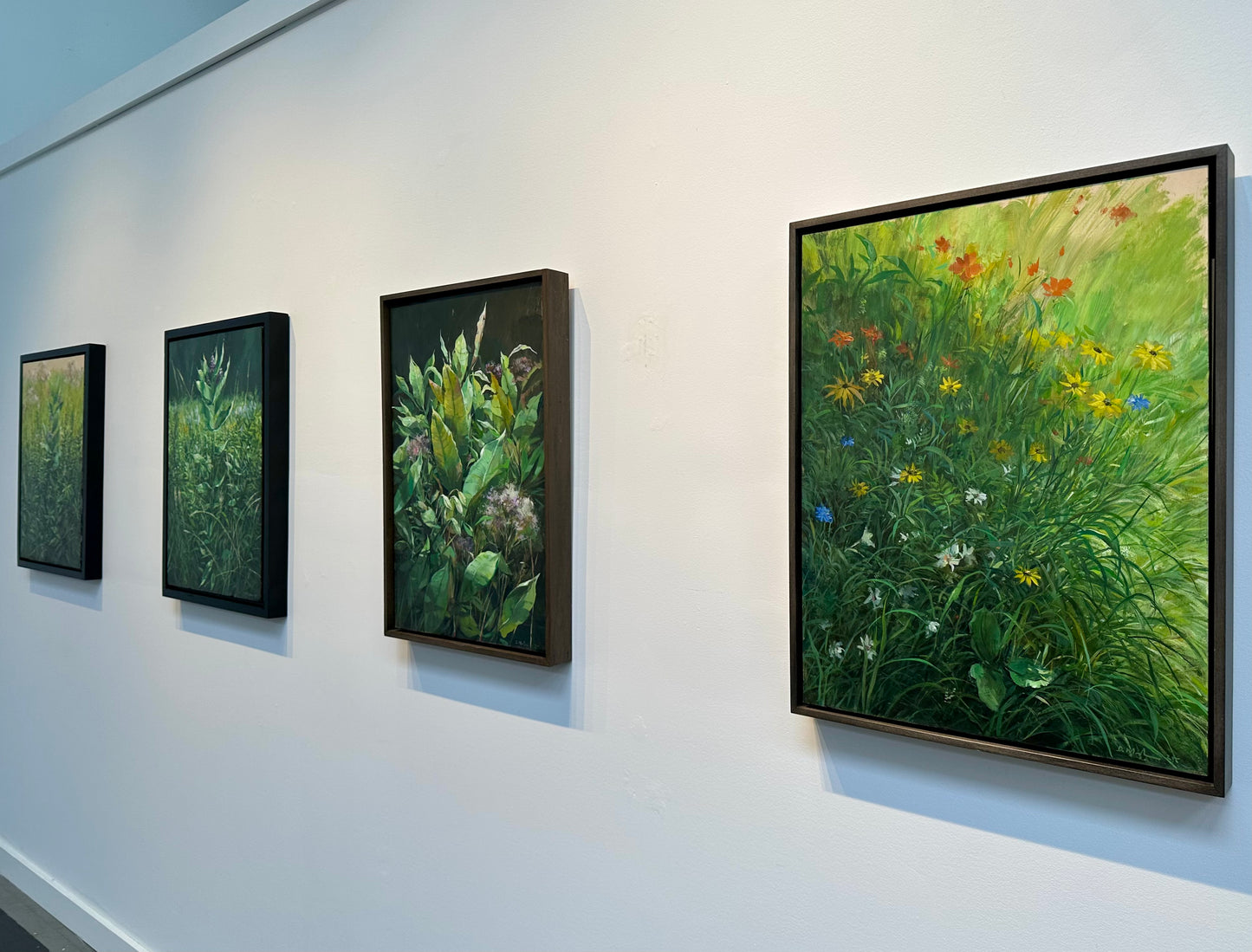 Wildflowers