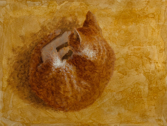 Orange and White Kitten
