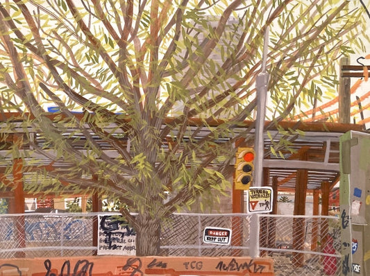 Palmer St.