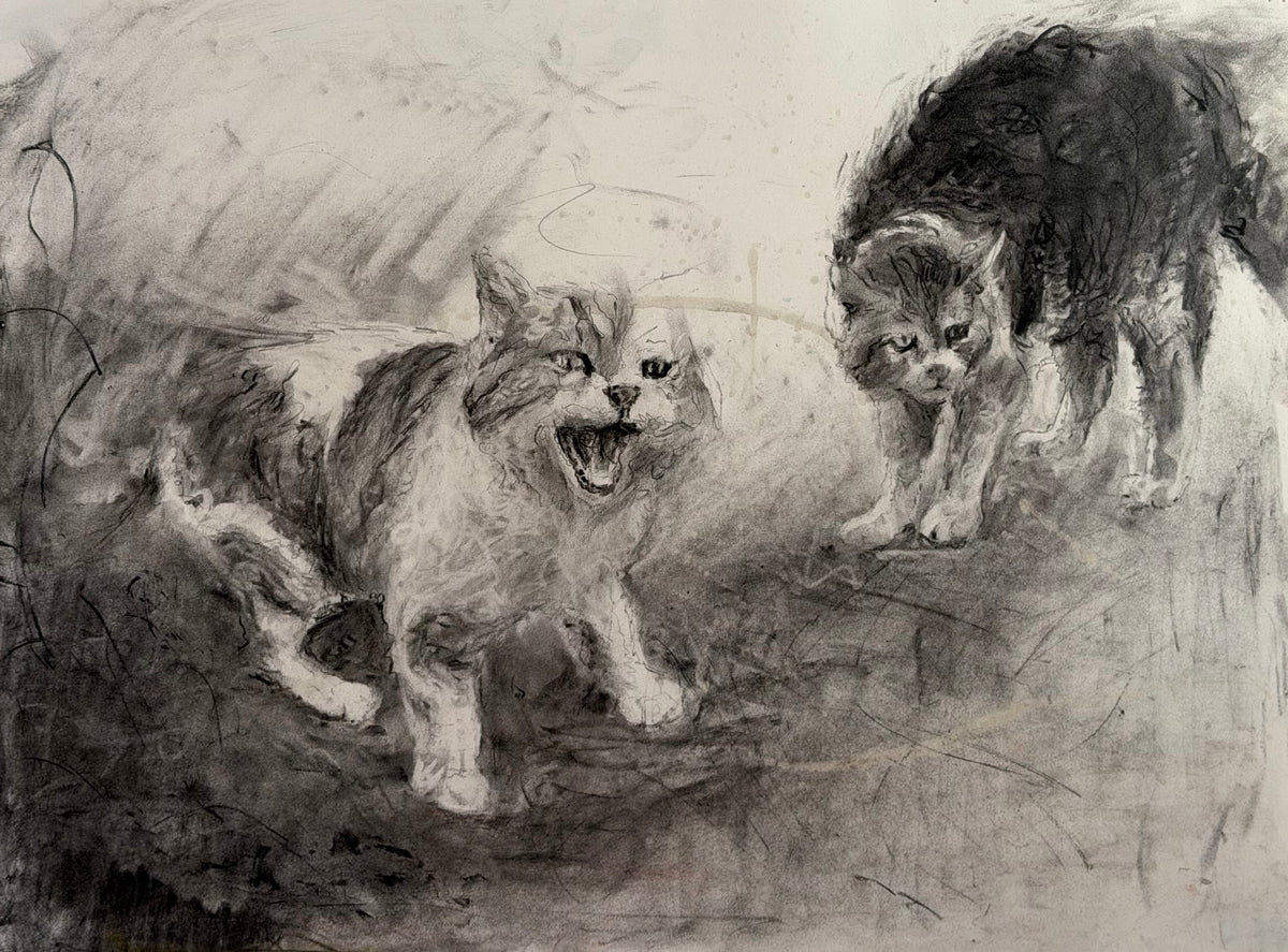 Pissed Cats