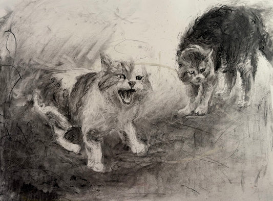 Pissed Cats