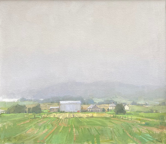 Soft Day