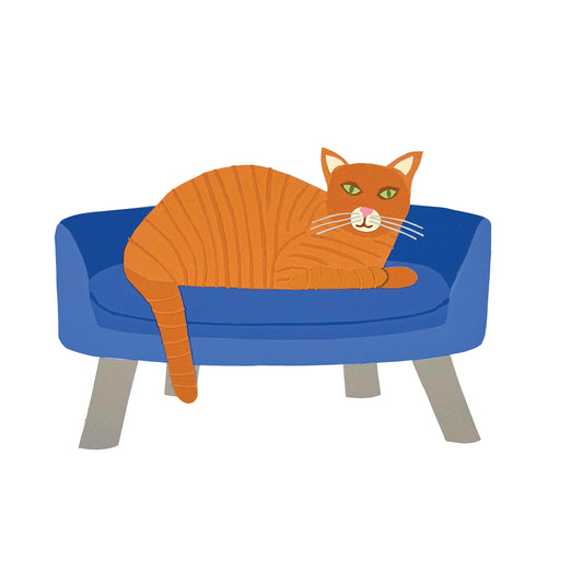Tabby