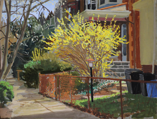 West Philly Forsythia