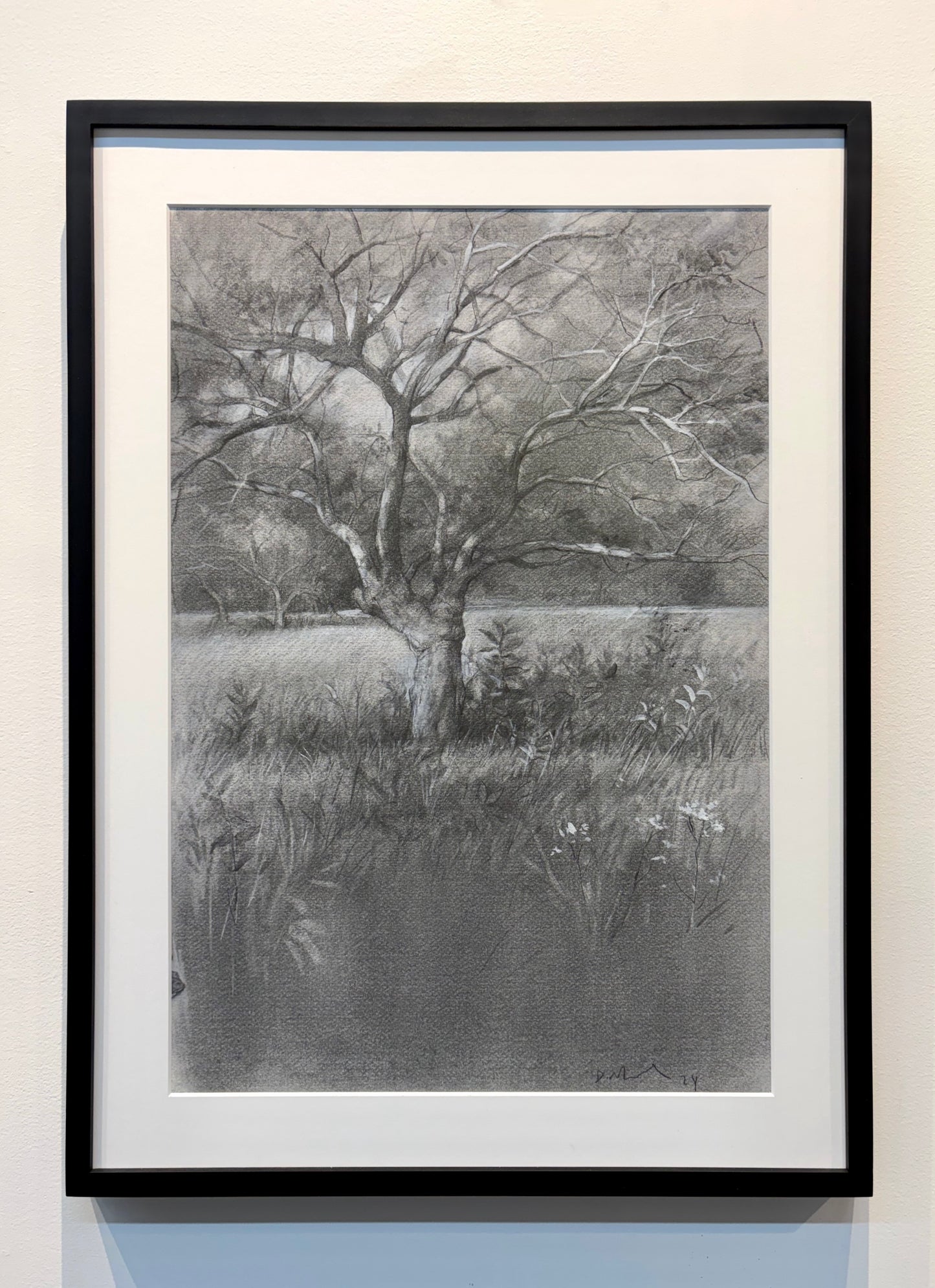 Apple Tree