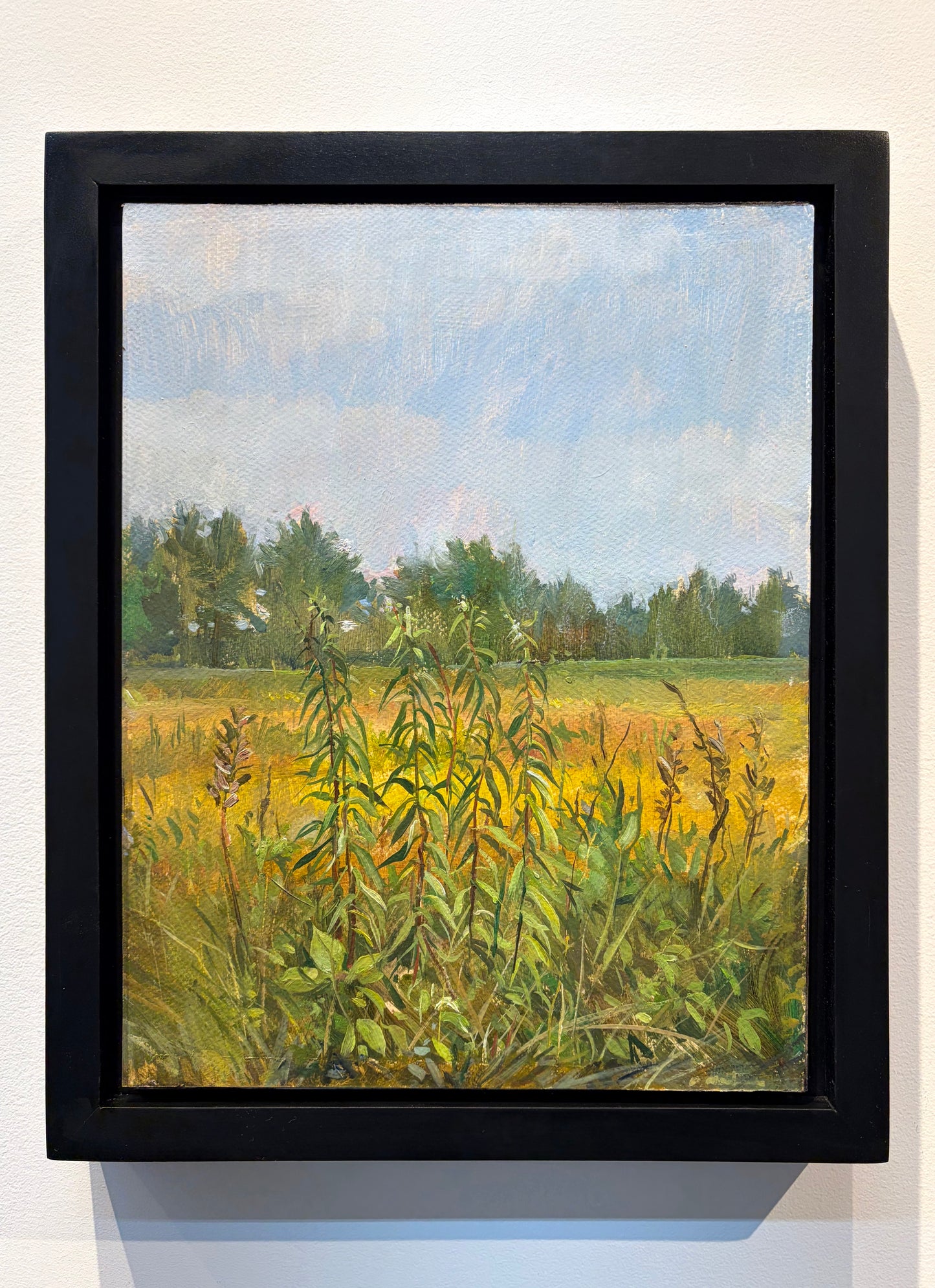 Field Study
