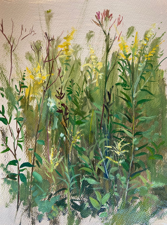 Wildflowers IV