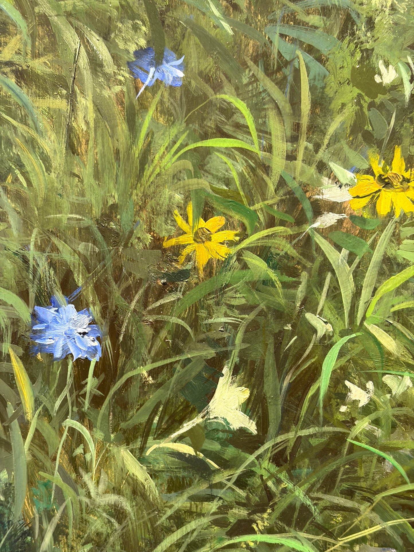 Wildflowers