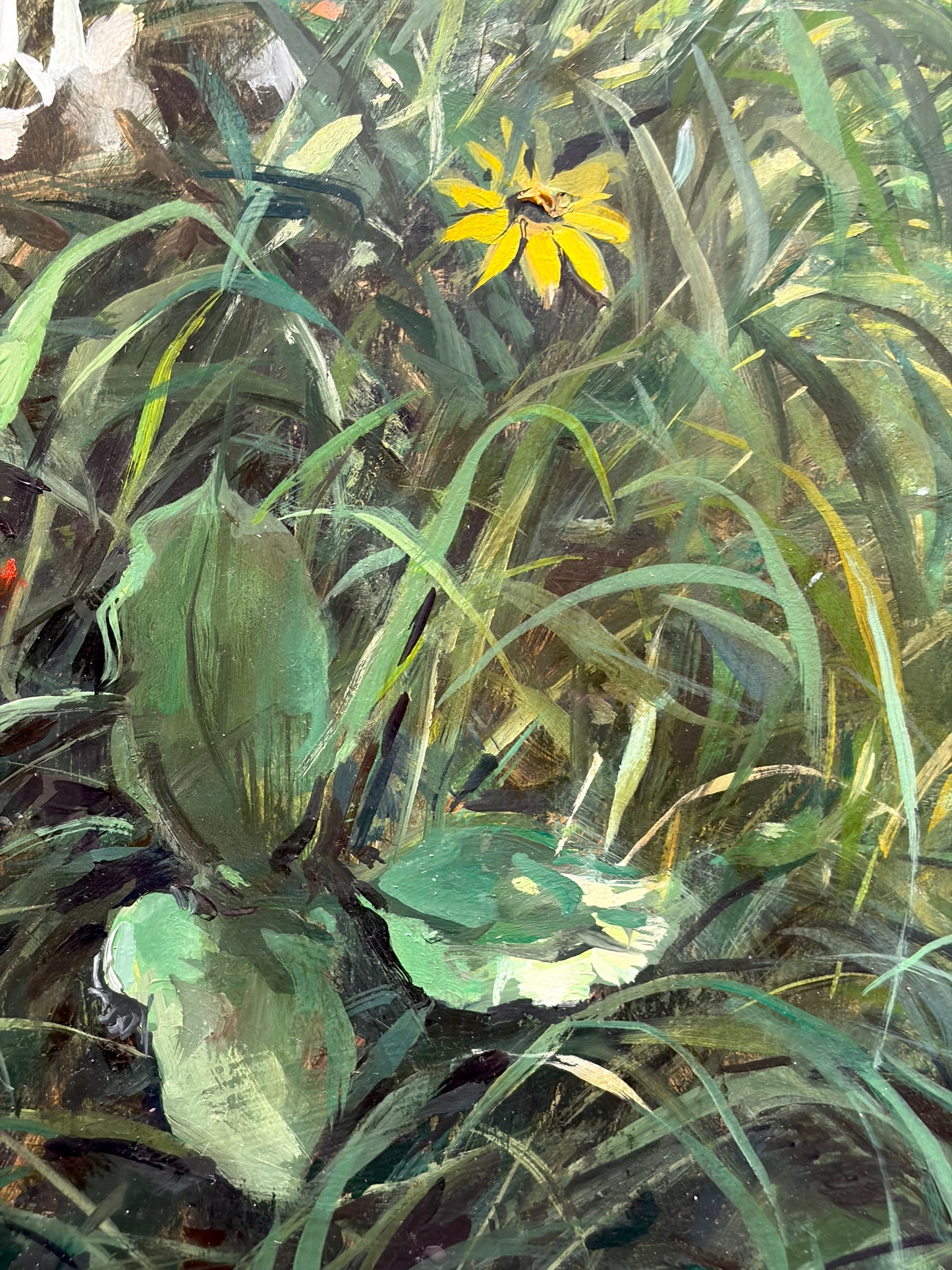 Wildflowers